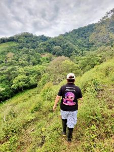 362c34d0-fd42-42ee-b3d0-cf374cec7d0d